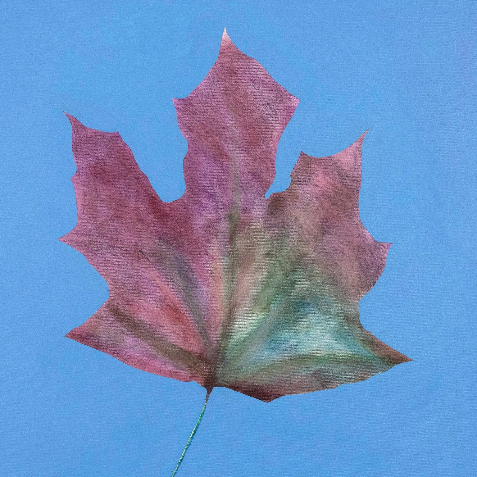 CHARLES PACHTER "BE LEAF ME" PAINTING, 2016