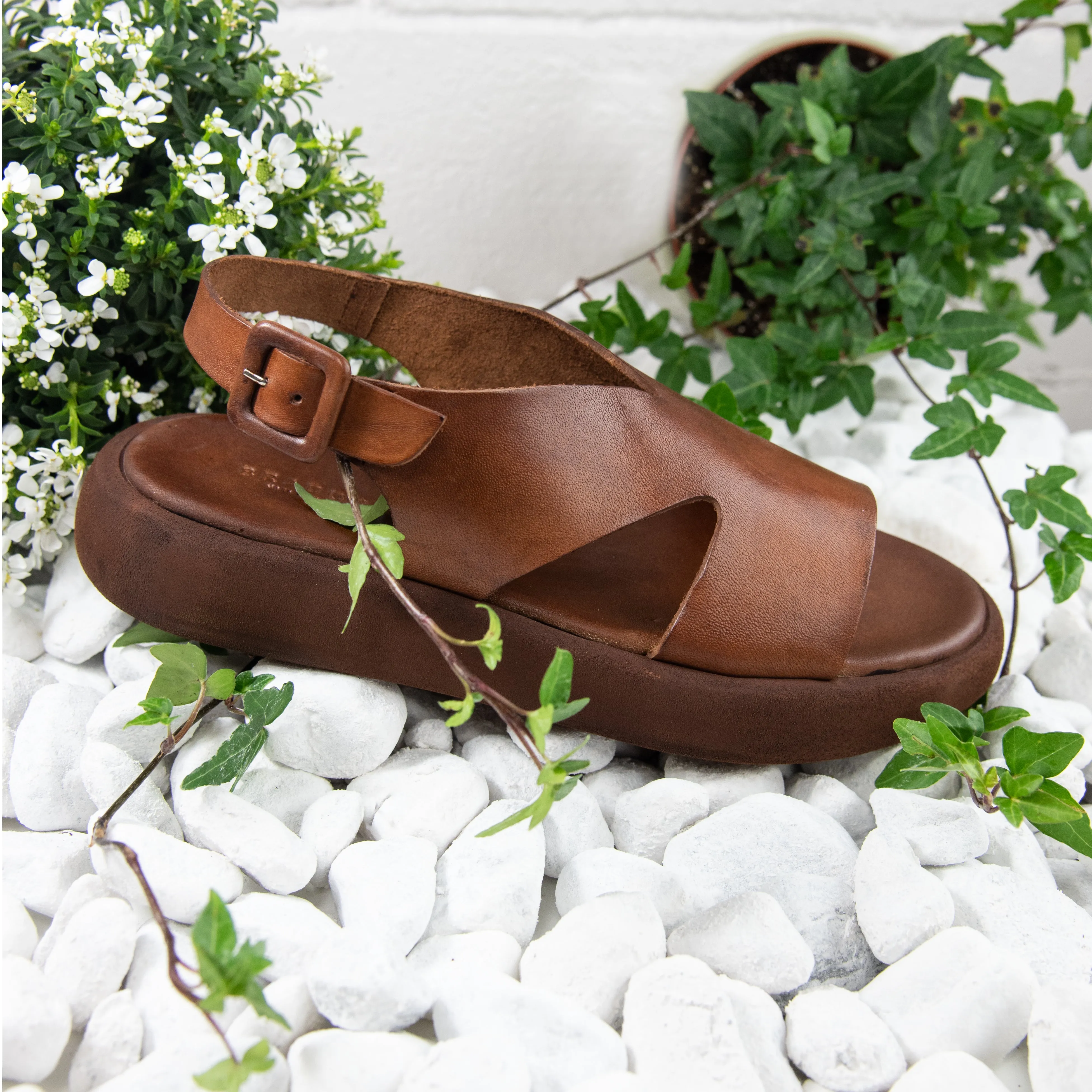 INDIA CIGAR PLATFORM