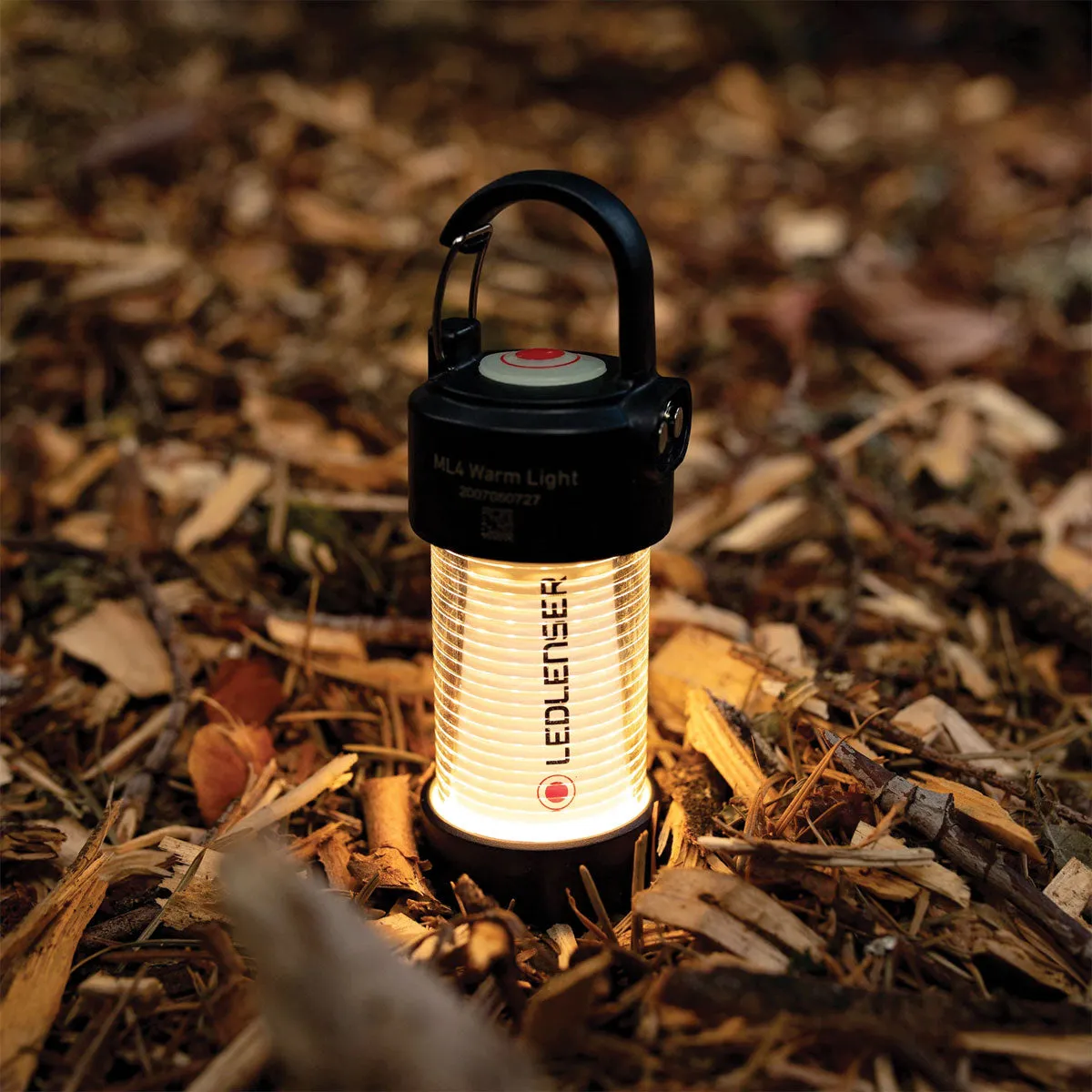 Ledlenser ML4 Mini Lantern Warm Light Rechargeable with Box