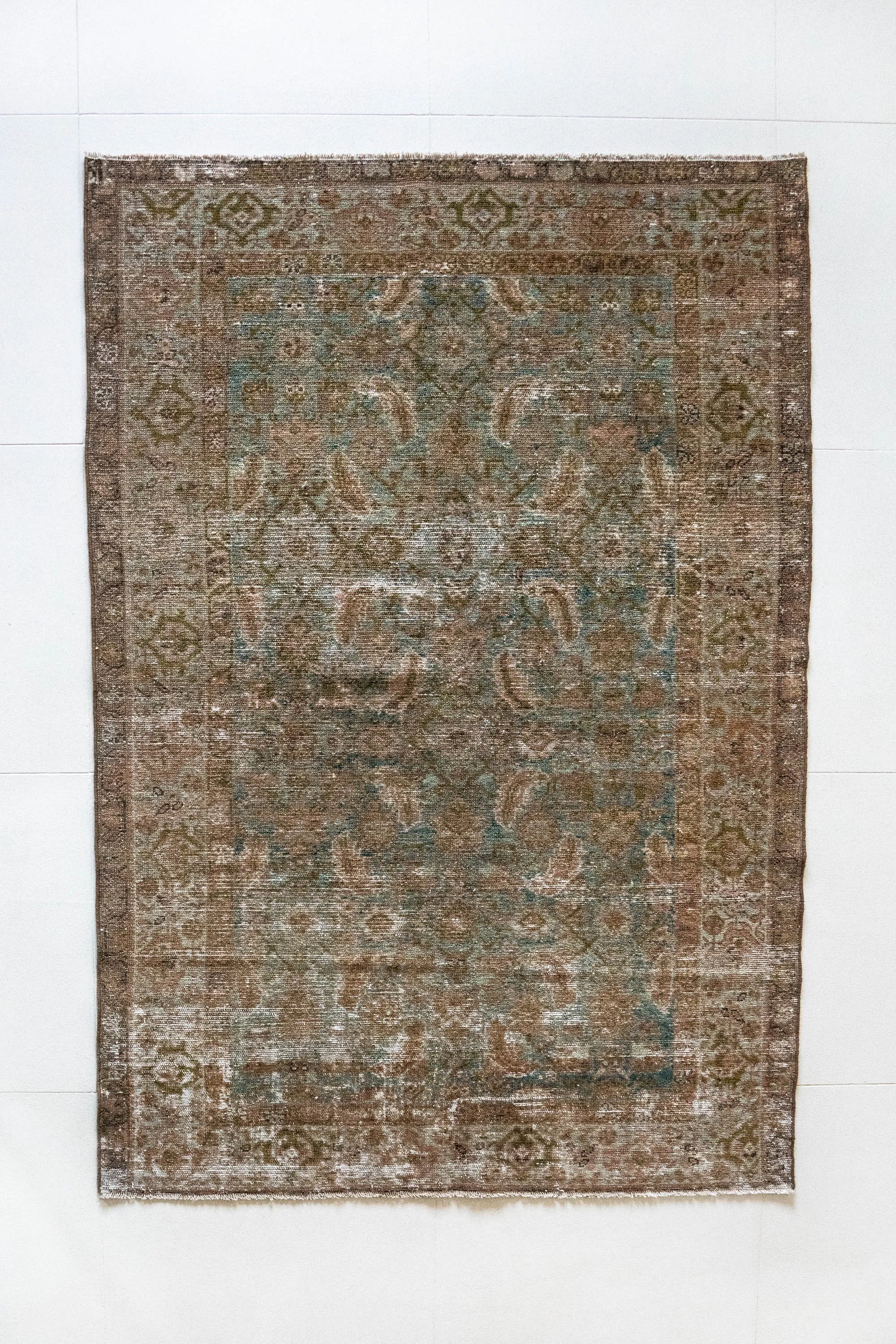 Lenora | 4'1 x 6'3