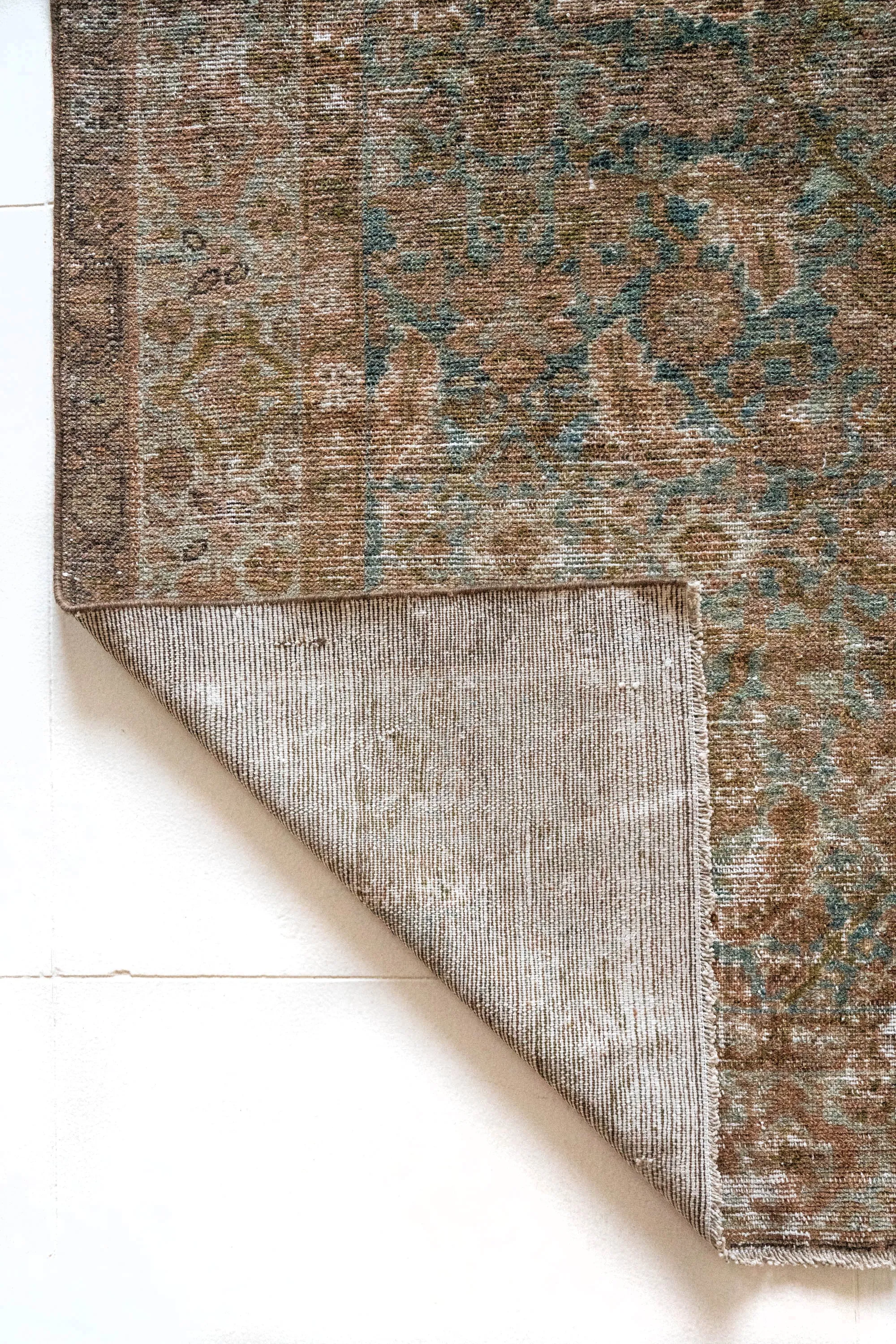 Lenora | 4'1 x 6'3