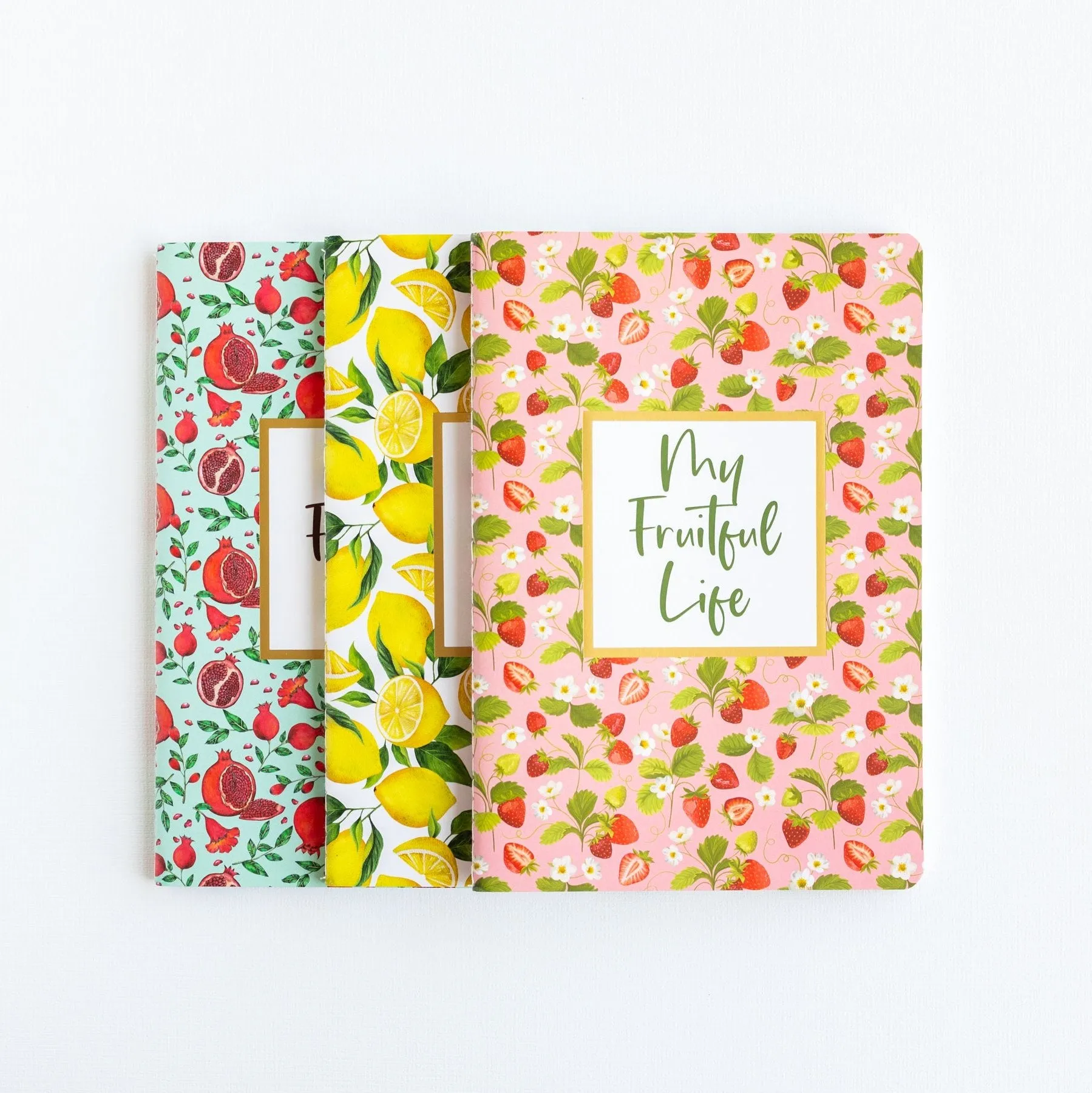 My Fruitful Life Journal-Set of 3 Bright Fruit