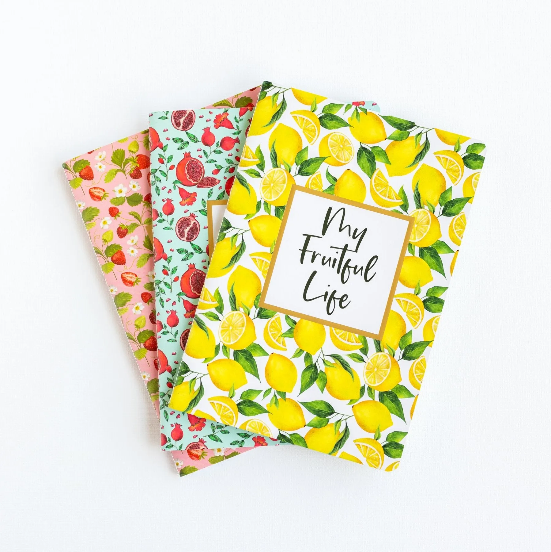 My Fruitful Life Journal-Set of 3 Bright Fruit