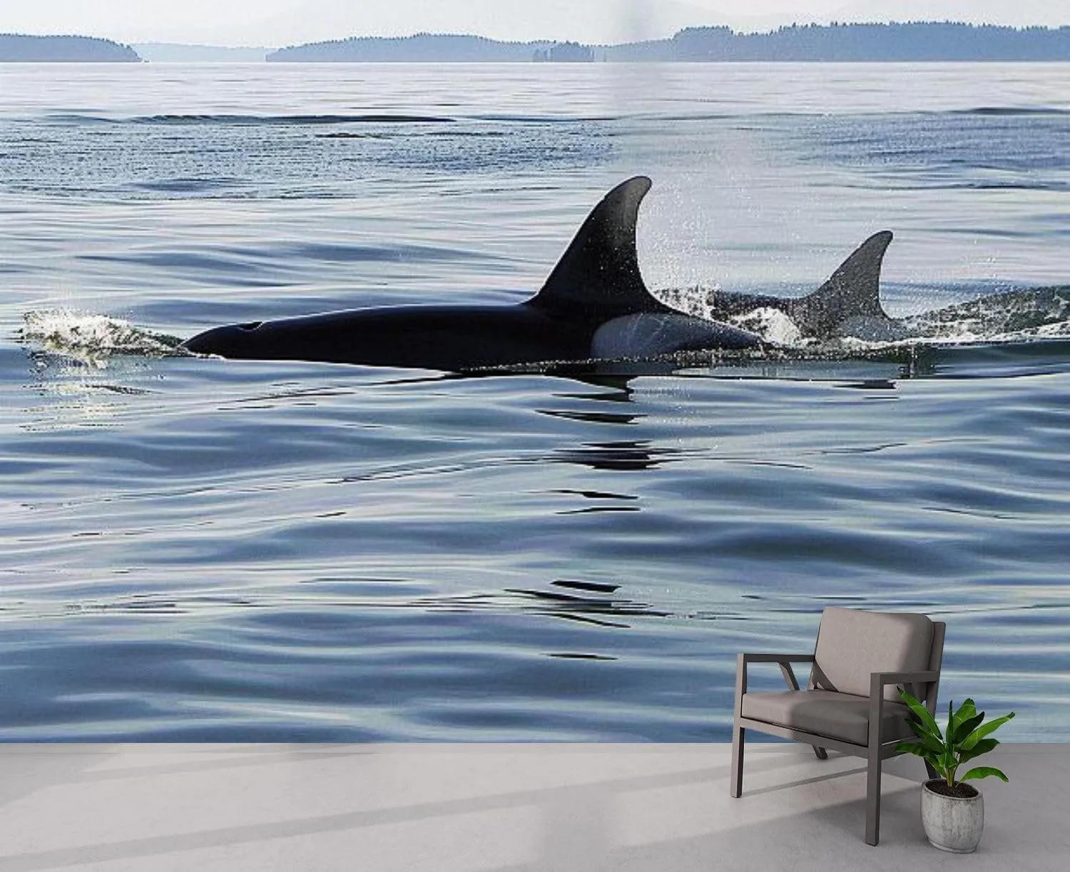 NEW Retails $109, 5 Ft x 7 FT Peel and Stick Mural Wallpaper Orca Killer Whale Calf Canvas Wallpaper Self Adhesive Wall Decals Removable Wall Mural