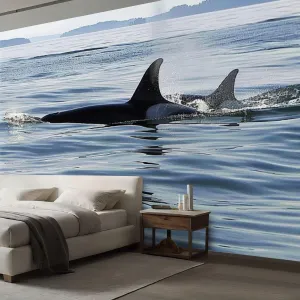 NEW Retails $109, 5 Ft x 7 FT Peel and Stick Mural Wallpaper Orca Killer Whale Calf Canvas Wallpaper Self Adhesive Wall Decals Removable Wall Mural