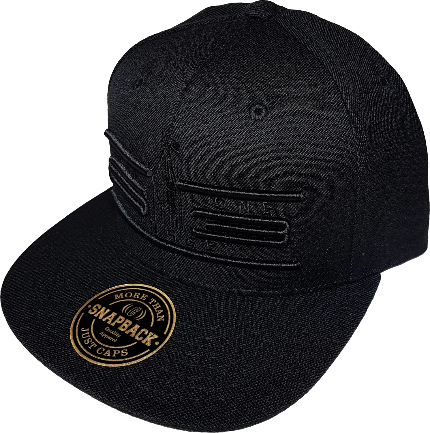 Ottawa Cap Represent Cyber Mesh Back Trucker Snapback Blackout