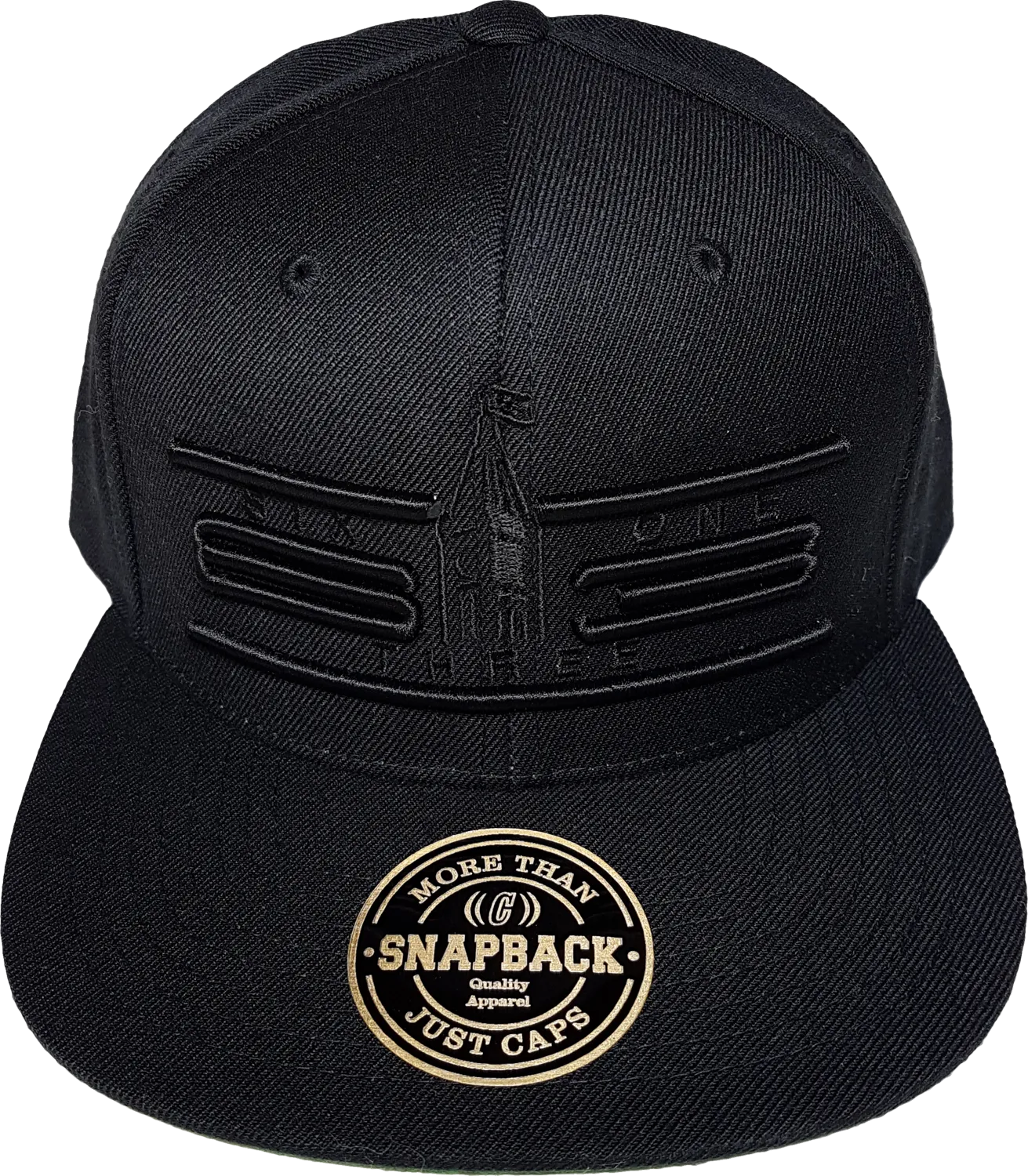 Ottawa Cap Represent Cyber Mesh Back Trucker Snapback Blackout