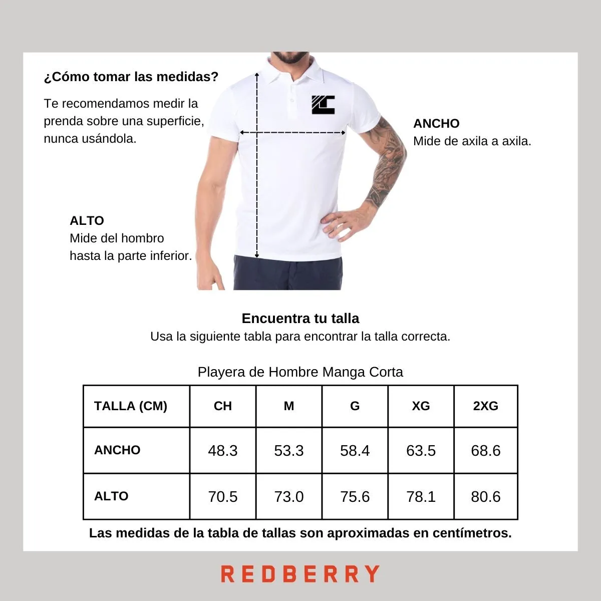 Playera Deportiva tipo polo Hombre Ted Lapidus Paris TL