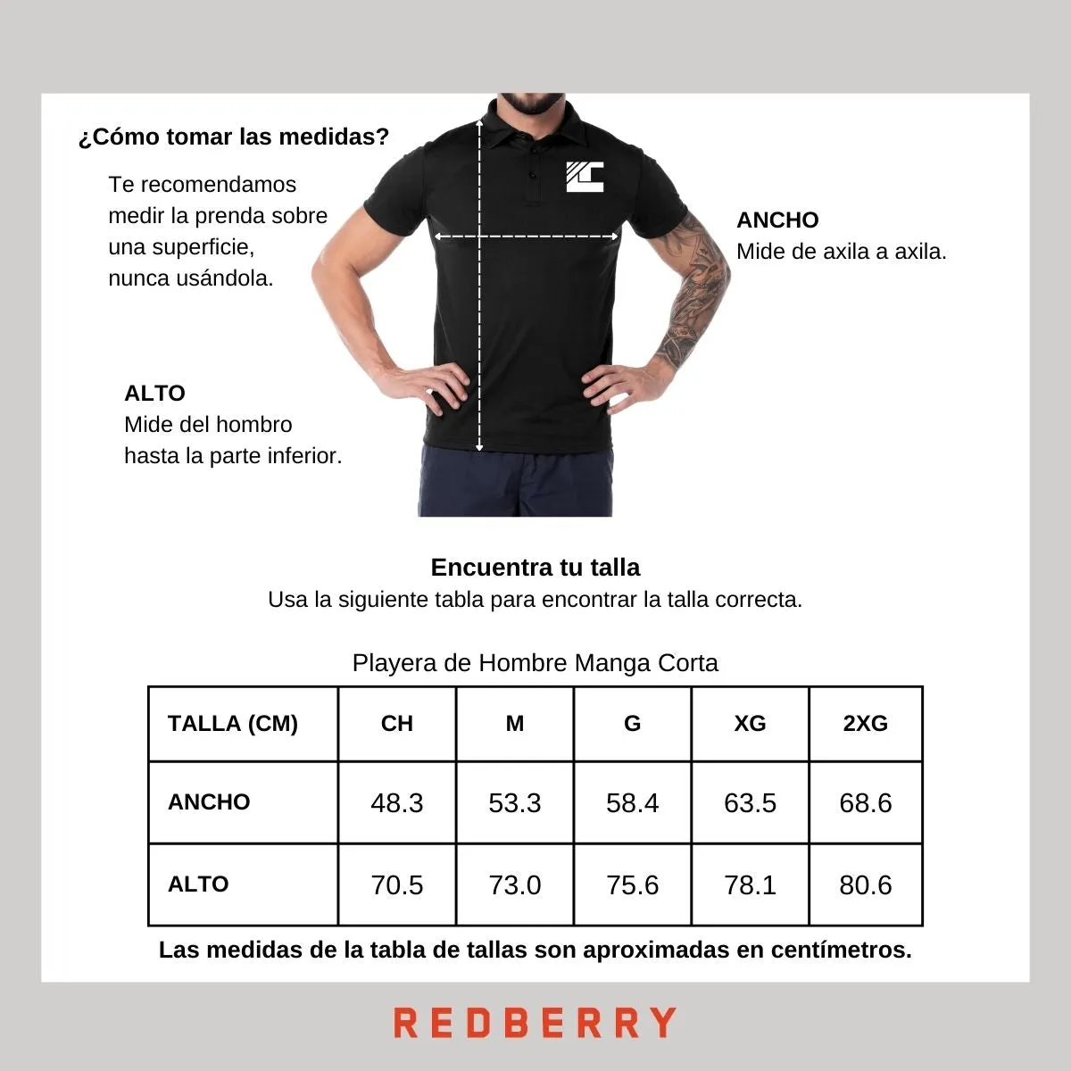 Playera Deportiva tipo polo Hombre Ted Lapidus Paris TL