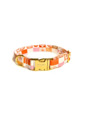 Retro Rainbow Collar