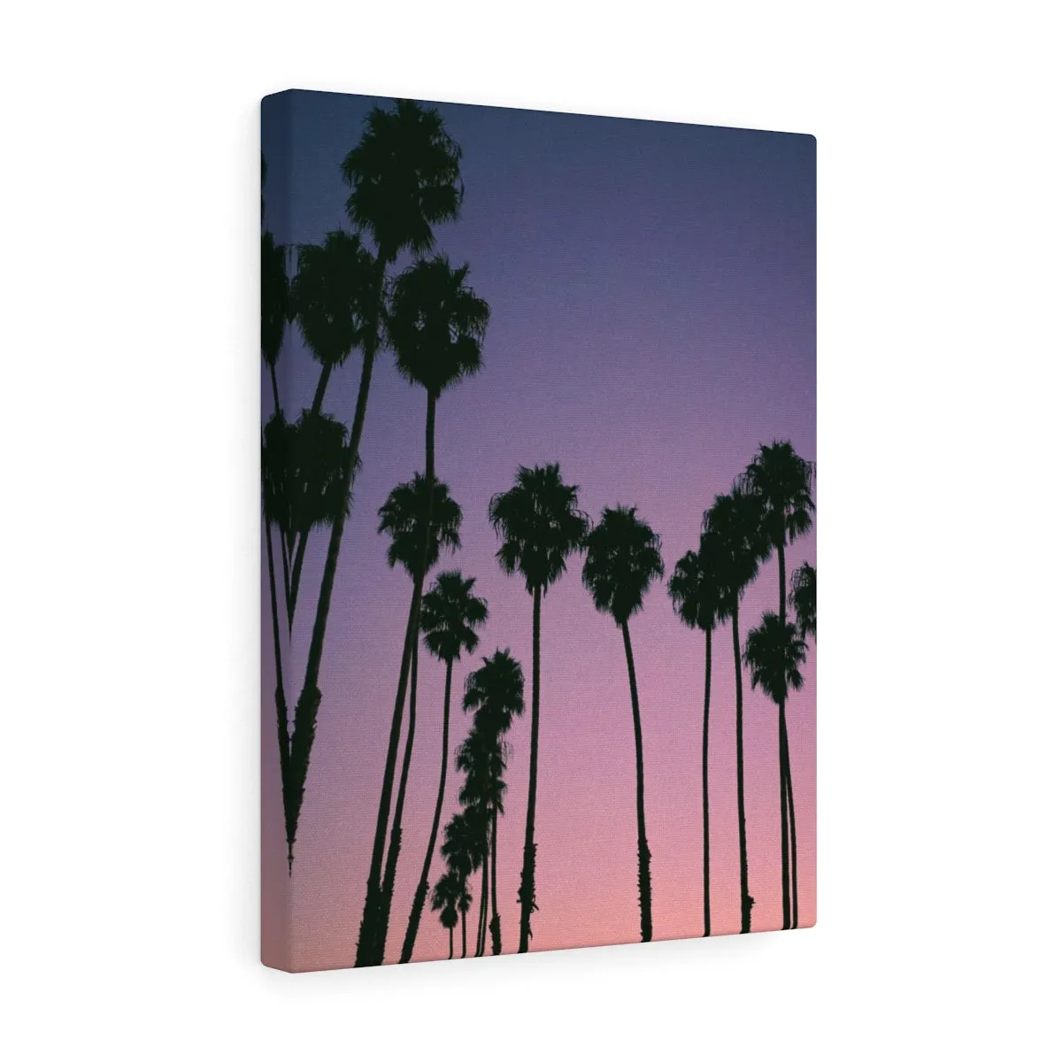 Santa Barbara Palm Trees Premium Wall Canvas