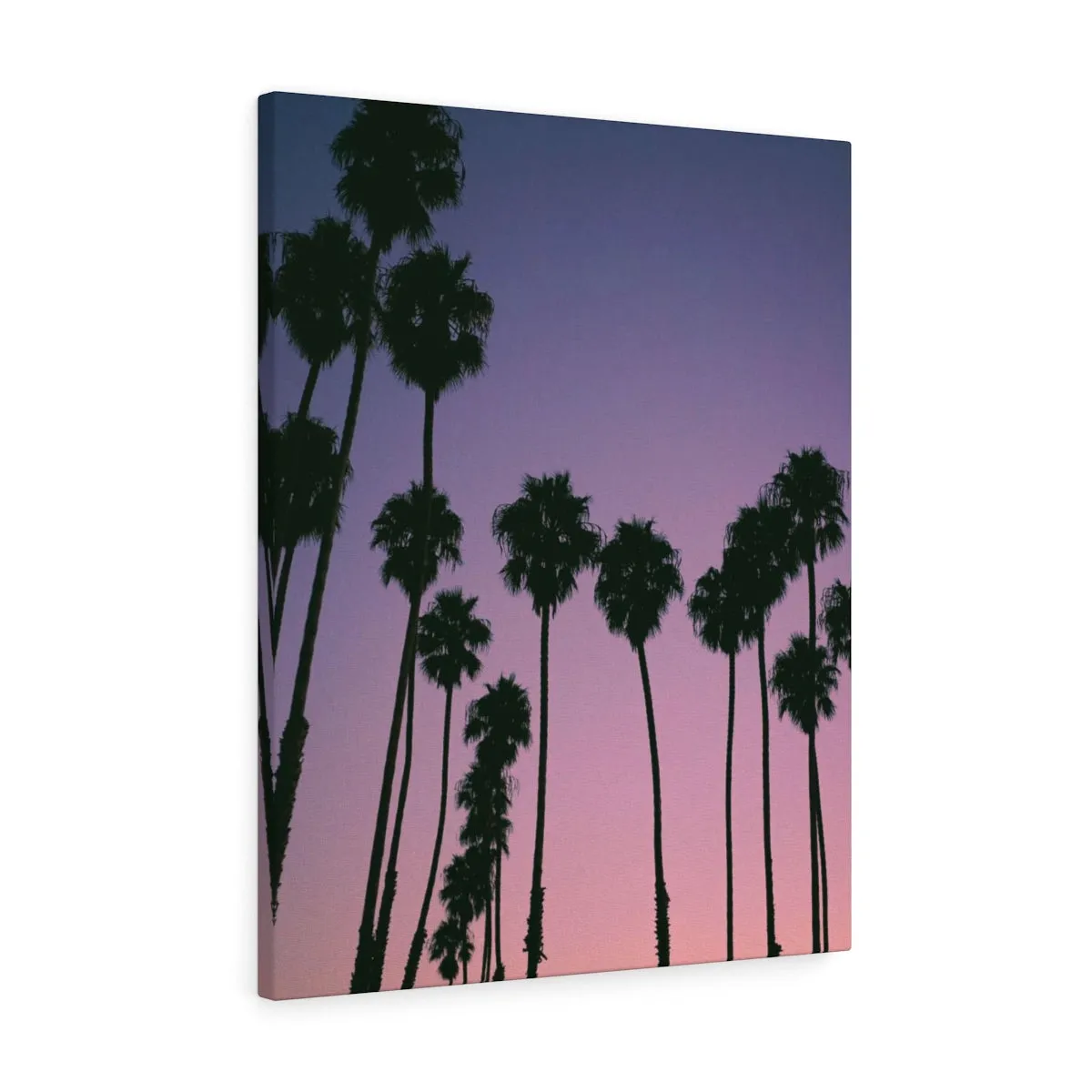 Santa Barbara Palm Trees Premium Wall Canvas