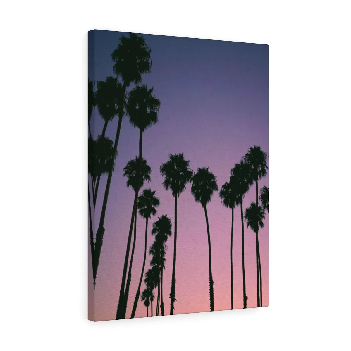 Santa Barbara Palm Trees Premium Wall Canvas