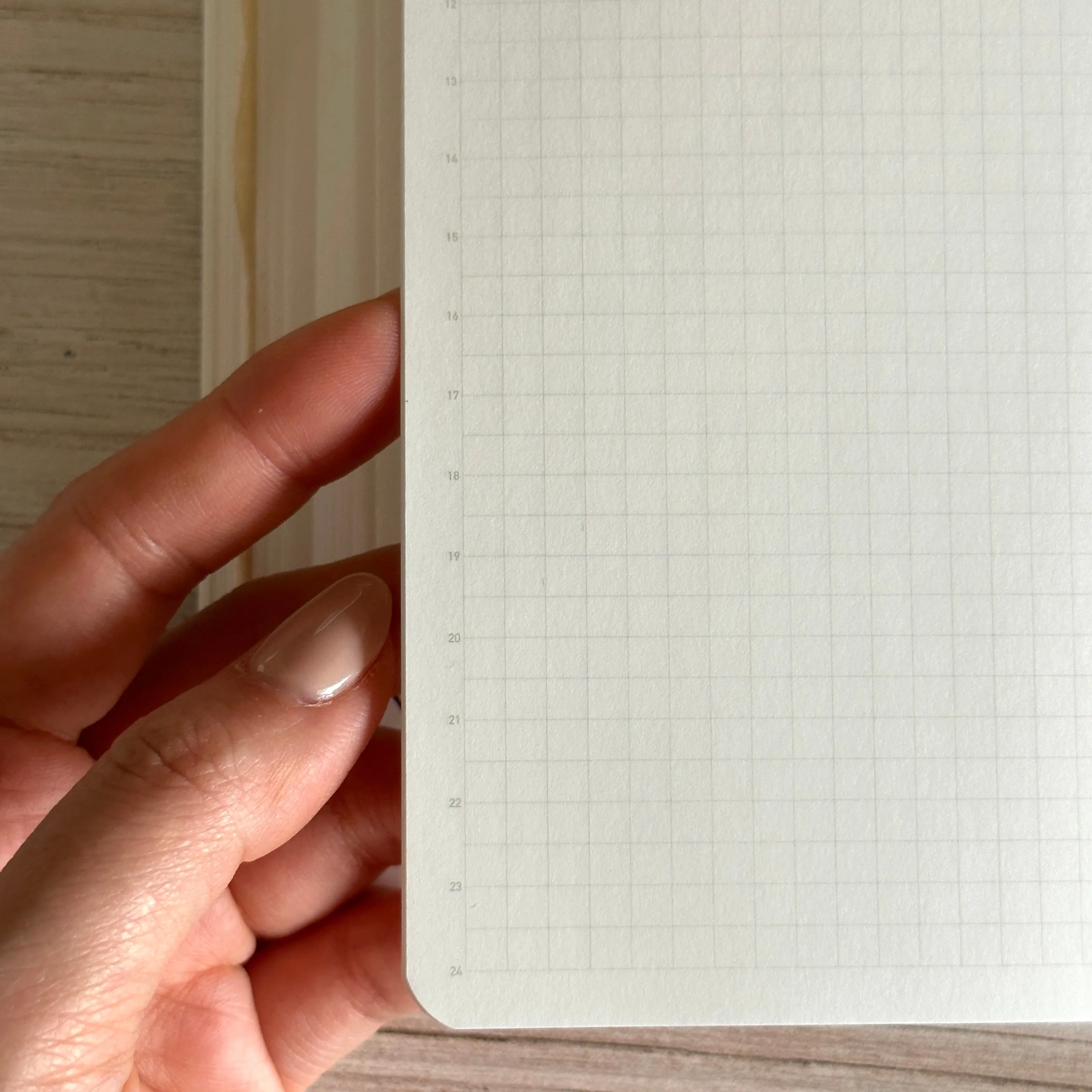 [Stalogy Notebook] 1/2 Year LIMITED (A5) // Salvia