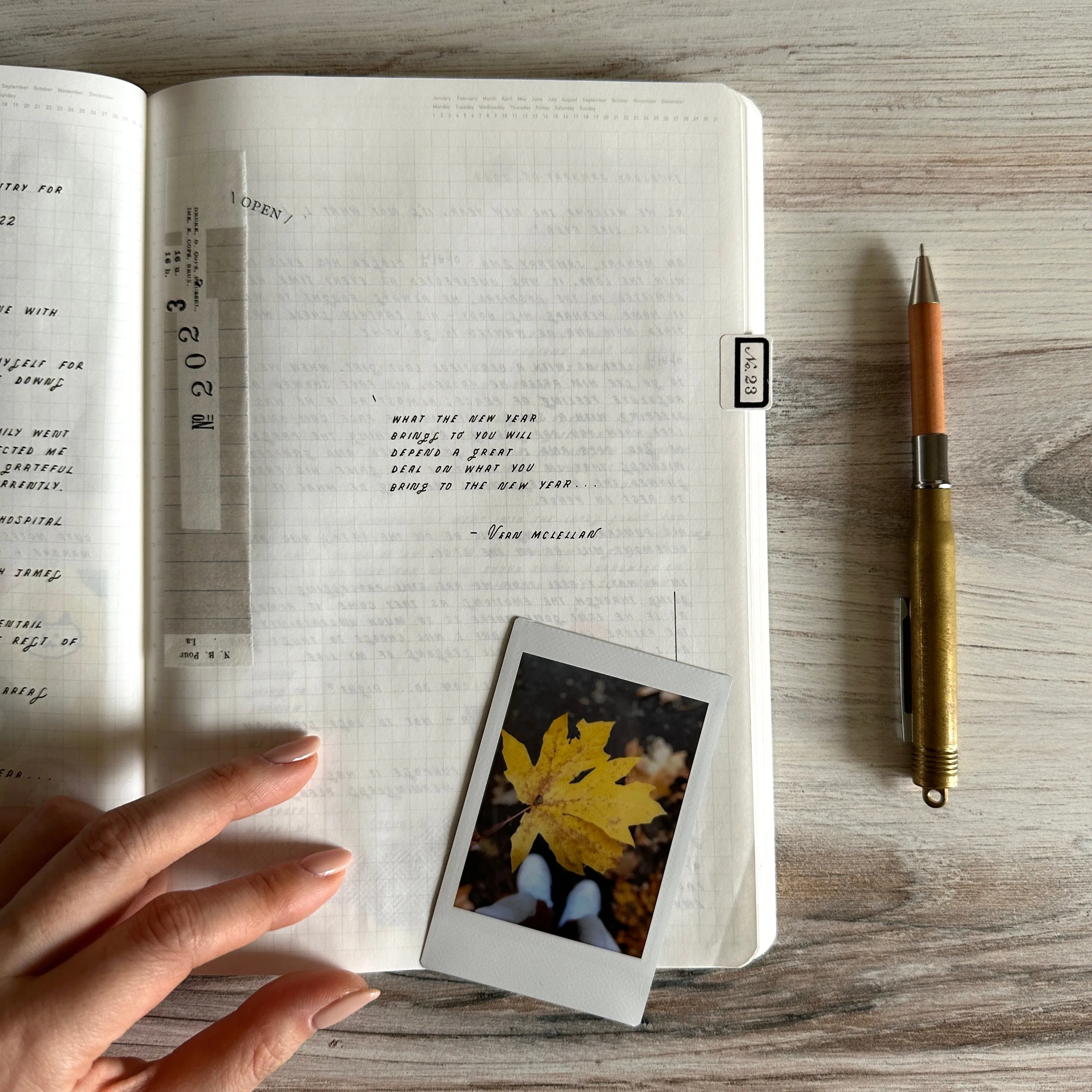[Stalogy Notebook] 1/2 Year LIMITED (A5) // Salvia