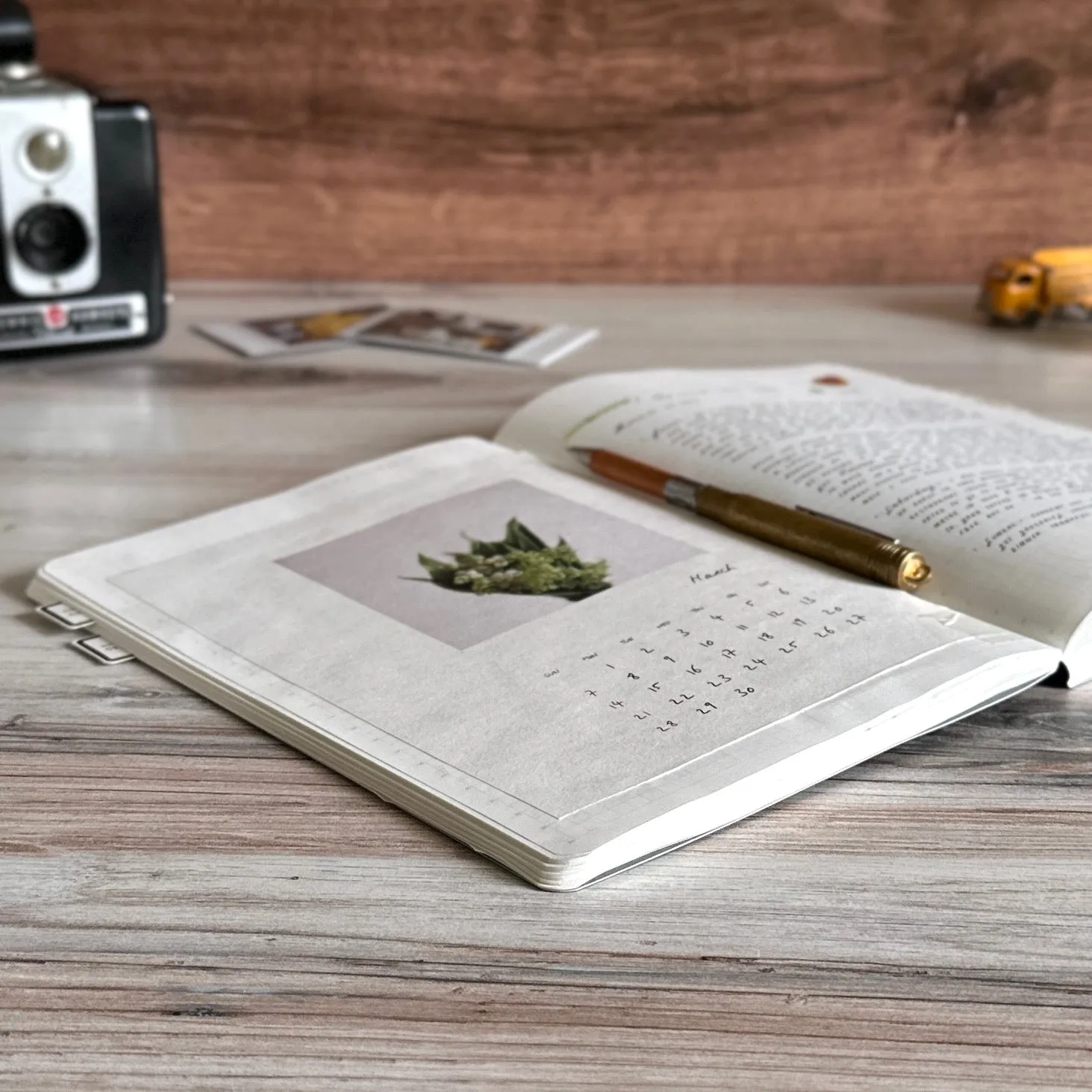 [Stalogy Notebook] 1/2 Year LIMITED (A5) // Salvia