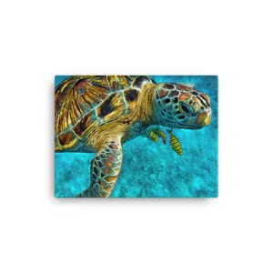 Tortuga