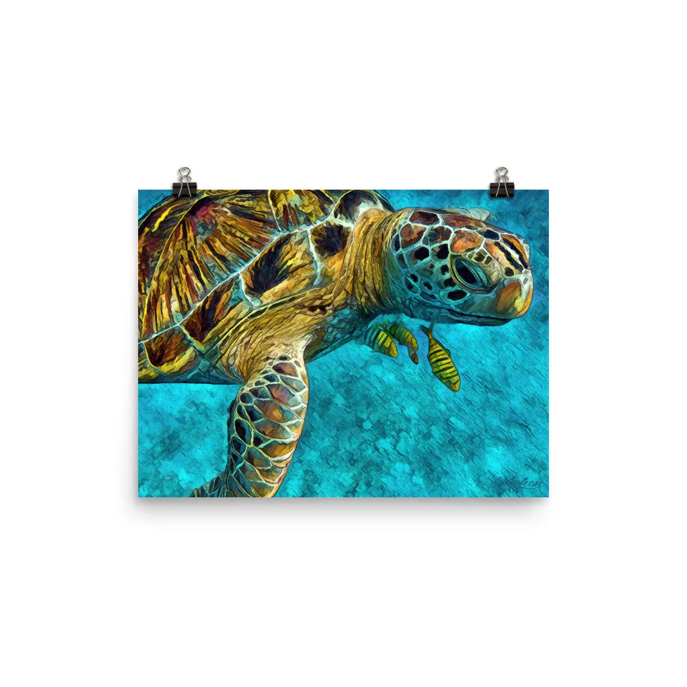 Tortuga
