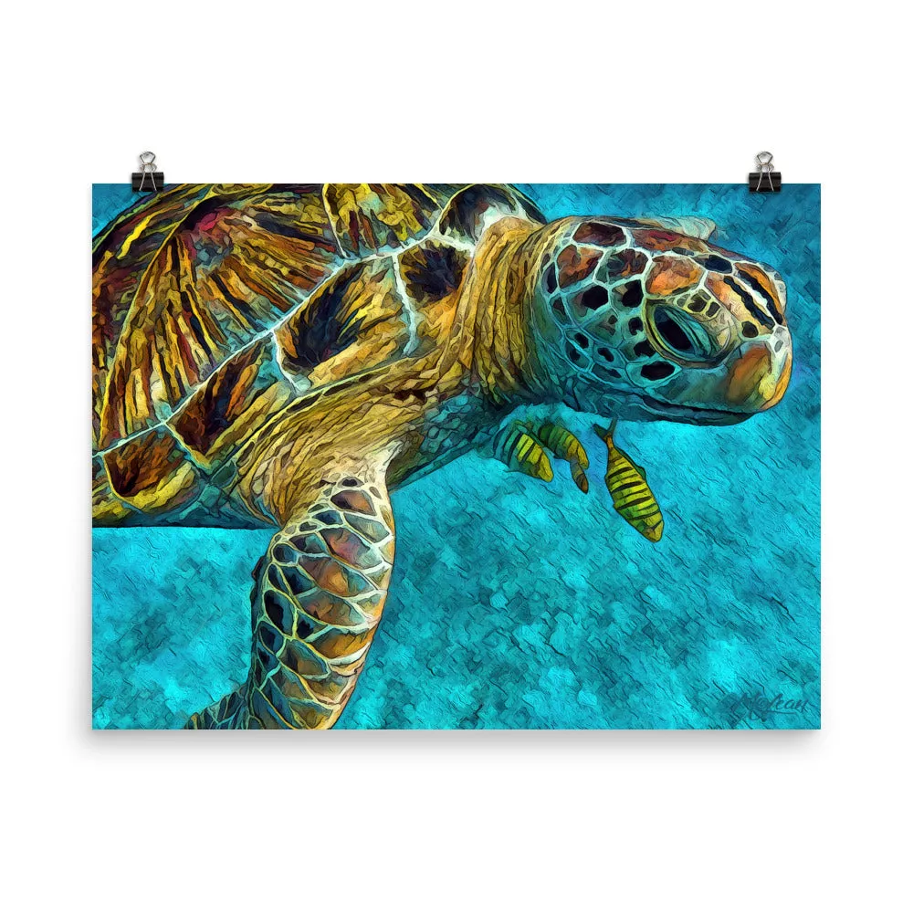 Tortuga
