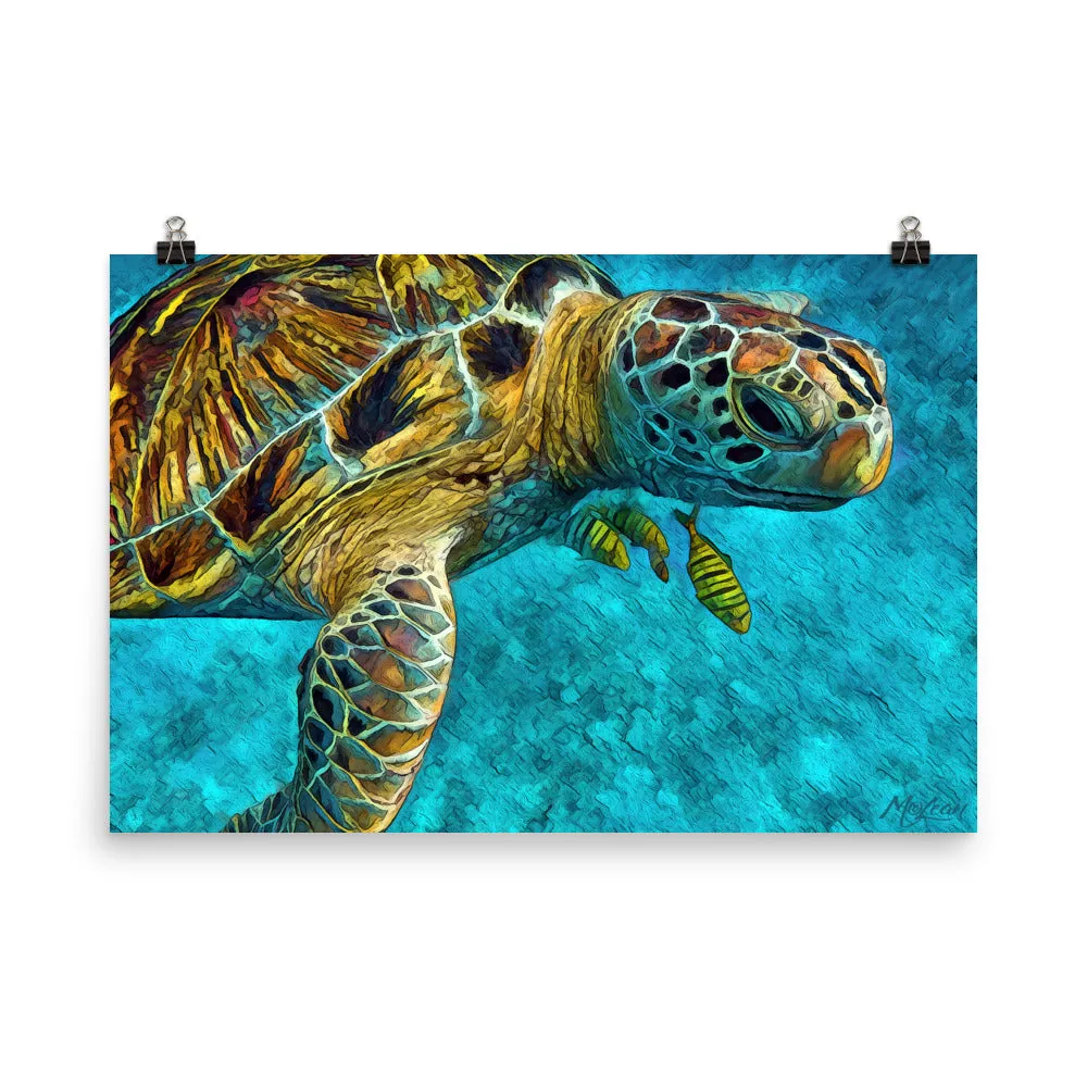 Tortuga