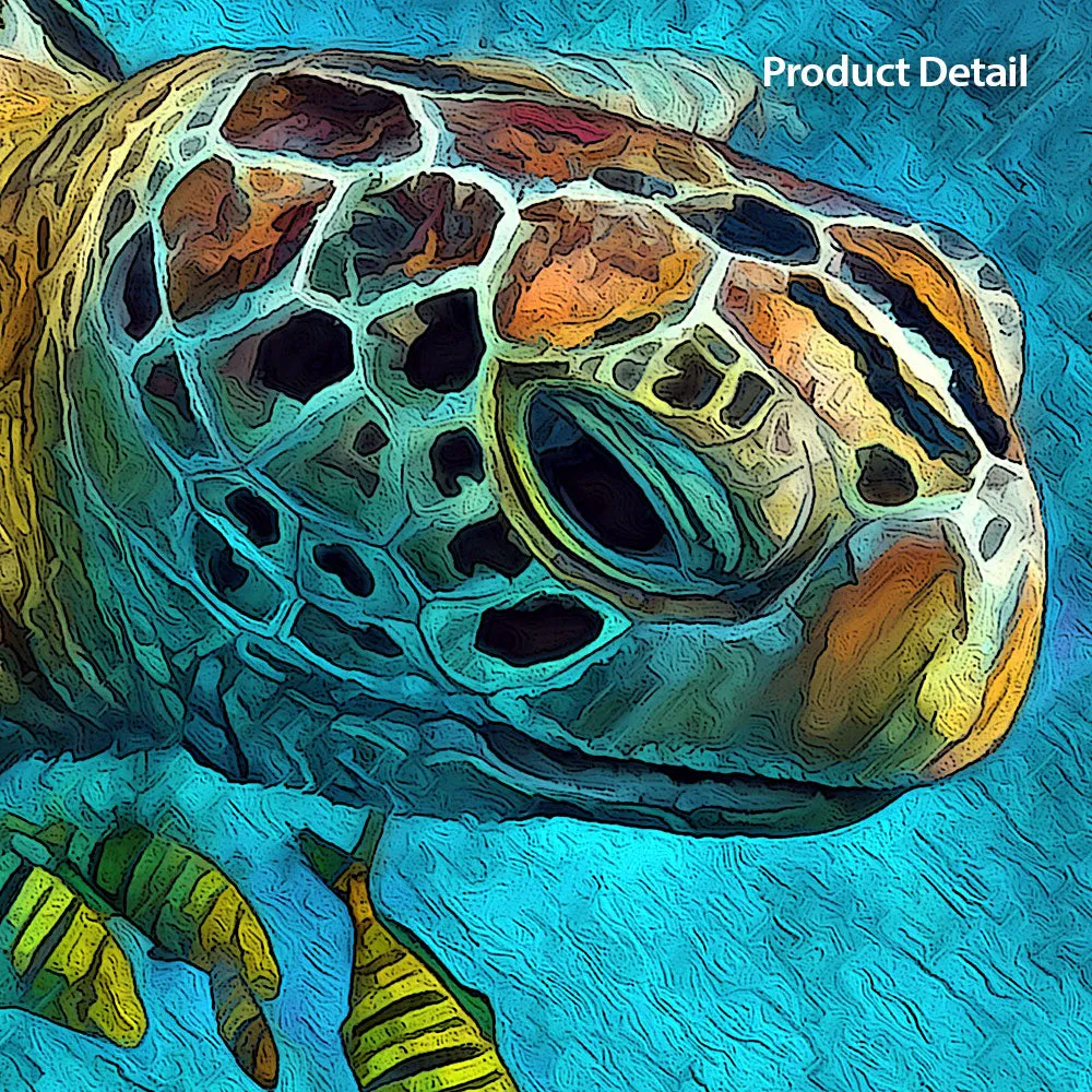 Tortuga