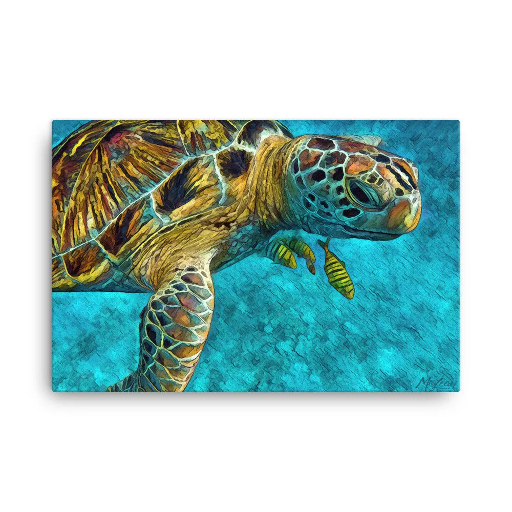 Tortuga