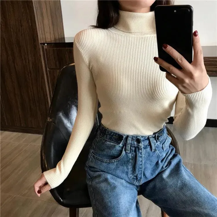 Veronica Turtle Neck Sweater