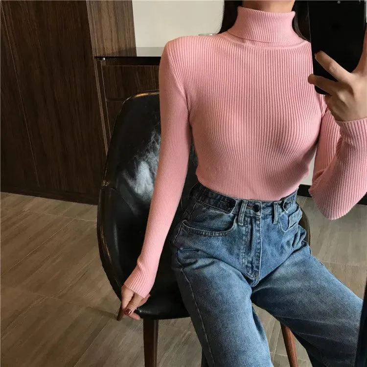 Veronica Turtle Neck Sweater
